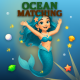 Ocean Matching
