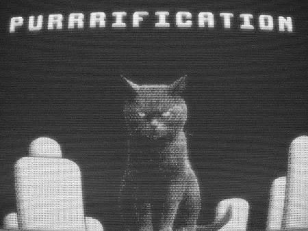 Purrrification